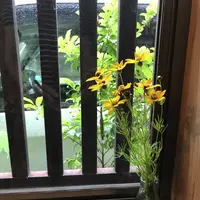 炭火焼うなぎ 魚寅の写真・動画_image_207660