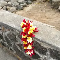 Kailua Pierの写真・動画_image_207784