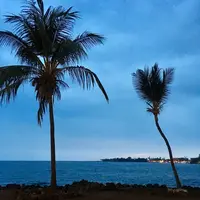 Huggo'sの写真・動画_image_207790