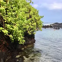 ロイヤル・コナ・リゾートの写真・動画_image_207802