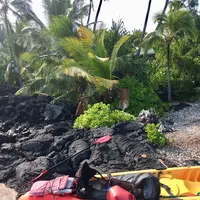 ケアウホウ・ベイの写真・動画_image_207806