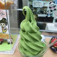 茶の君野園の写真・動画_image_207915