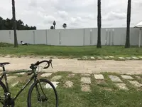 都立潮風公園の写真・動画_image_207920