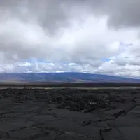 Saddle Rdの写真・動画_image_208200