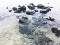 Beach Villas at Kahaluu Beachの写真・動画_image_208211