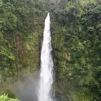 アカカ滝の写真・動画_image_208222