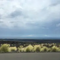 ハーツ レンタカーの写真・動画_image_208234