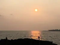 コナ イン レストランの写真・動画_image_208235