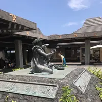 Kona Airportの写真・動画_image_208244
