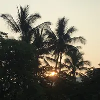 ケアウホウ・ベイの写真・動画_image_208245