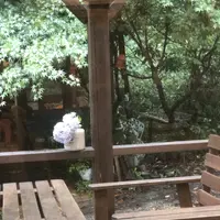 642 Pizzaの写真・動画_image_208286