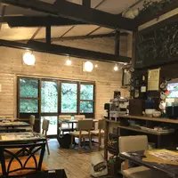 642 Pizzaの写真・動画_image_208287