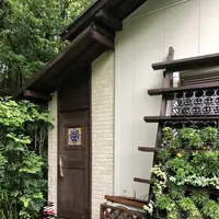 642 Pizzaの写真・動画_image_208293