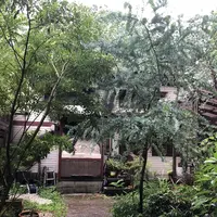 642 Pizzaの写真・動画_image_208294