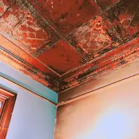 OXYMORON 北浜の写真・動画_image_208342