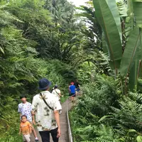 アカカ滝の写真・動画_image_208450