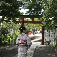 鶴岡八幡宮の写真・動画_image_208468