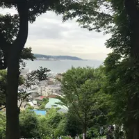 長谷寺の写真・動画_image_208484