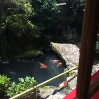 洛匠の写真・動画_image_208560