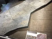 野外恐竜博物館の写真・動画_image_208698