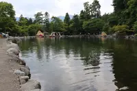 道志の森キャンプ場の写真・動画_image_209048