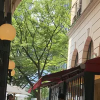 アニヴェルセル カフェ 表参道の写真・動画_image_209107