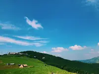 四国カルスト高原放牧場の写真・動画_image_209129