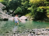 安居渓谷の写真・動画_image_209137