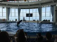アクアワールド茨城県大洗水族館の写真・動画_image_209172