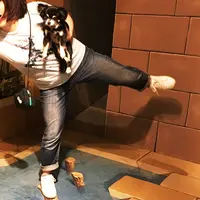 那須とりっくあーとぴあの写真・動画_image_209299