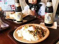 フィンランドの森 ハンモックカフェの写真・動画_image_209308