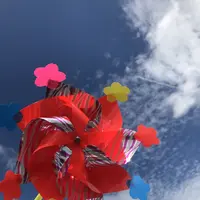 恐山の写真・動画_image_209309