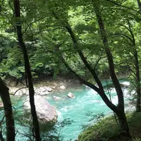抱返り渓谷の写真・動画_image_209358