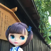 角館の写真・動画_image_209382