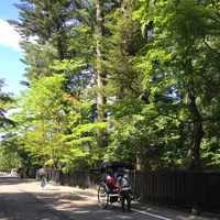 角館の写真・動画_image_209384
