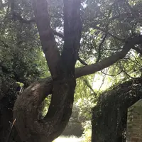 第五砲台跡の写真・動画_image_209473