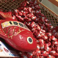 川越氷川神社の写真・動画_image_209486