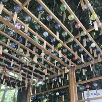 川越氷川神社の写真・動画_image_209487