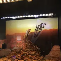 海洋堂フィギュアミュージアム黒壁の写真・動画_image_209597