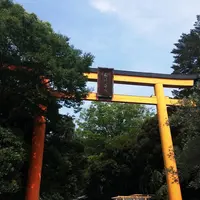 川越氷川神社の写真・動画_image_209613