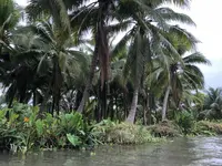 Damnoen Saduak Floating Market（ダムヌンサドアック水上マーケット）の写真・動画_image_209653