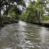 Damnoen Saduak Floating Market（ダムヌンサドアック水上マーケット）の写真・動画_image_209654