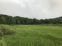 十和田八幡平国立公園の写真・動画_image_209700