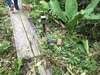 十和田八幡平国立公園の写真・動画_image_209701