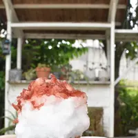 喫茶ニワトリの写真・動画_image_209910