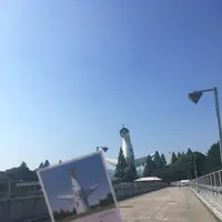 太陽の塔の写真・動画_image_210085