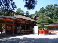 香椎宮の写真・動画_image_210148