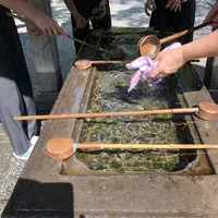 鎌倉大仏（高徳院）の写真・動画_image_210202