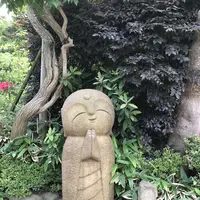 長谷寺の写真・動画_image_210203