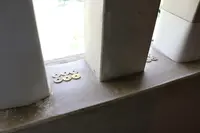 上田城跡の写真・動画_image_210339